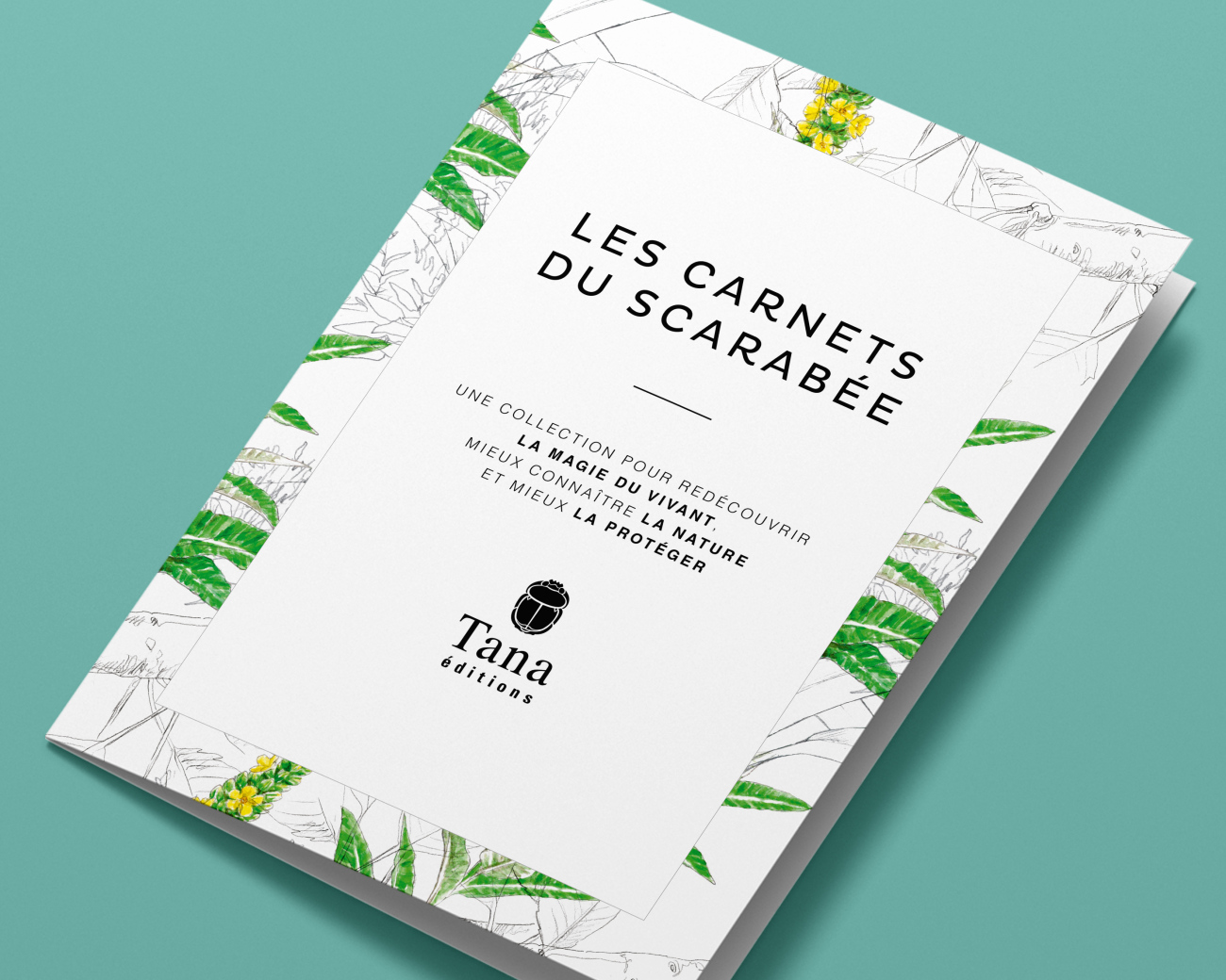 PLAQUETTESTANA &amp;#10;&amp;#201;DITIONS&amp;#10; | FIRST &amp;#201;DITIONS&amp;#10;